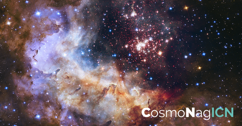 cosmos