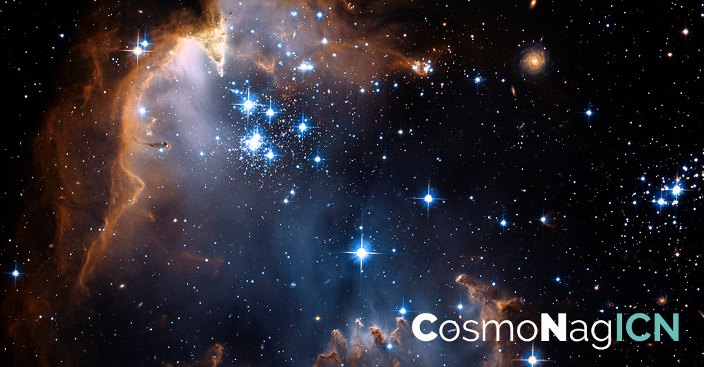 cosmos